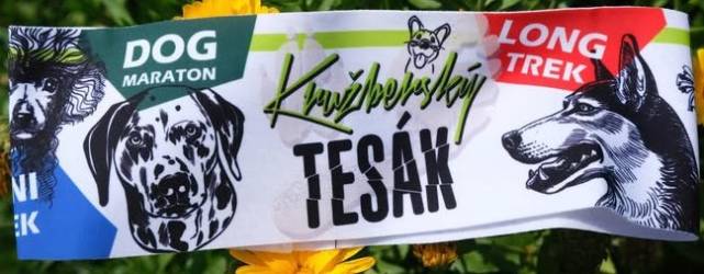 DT Kružberský tesák