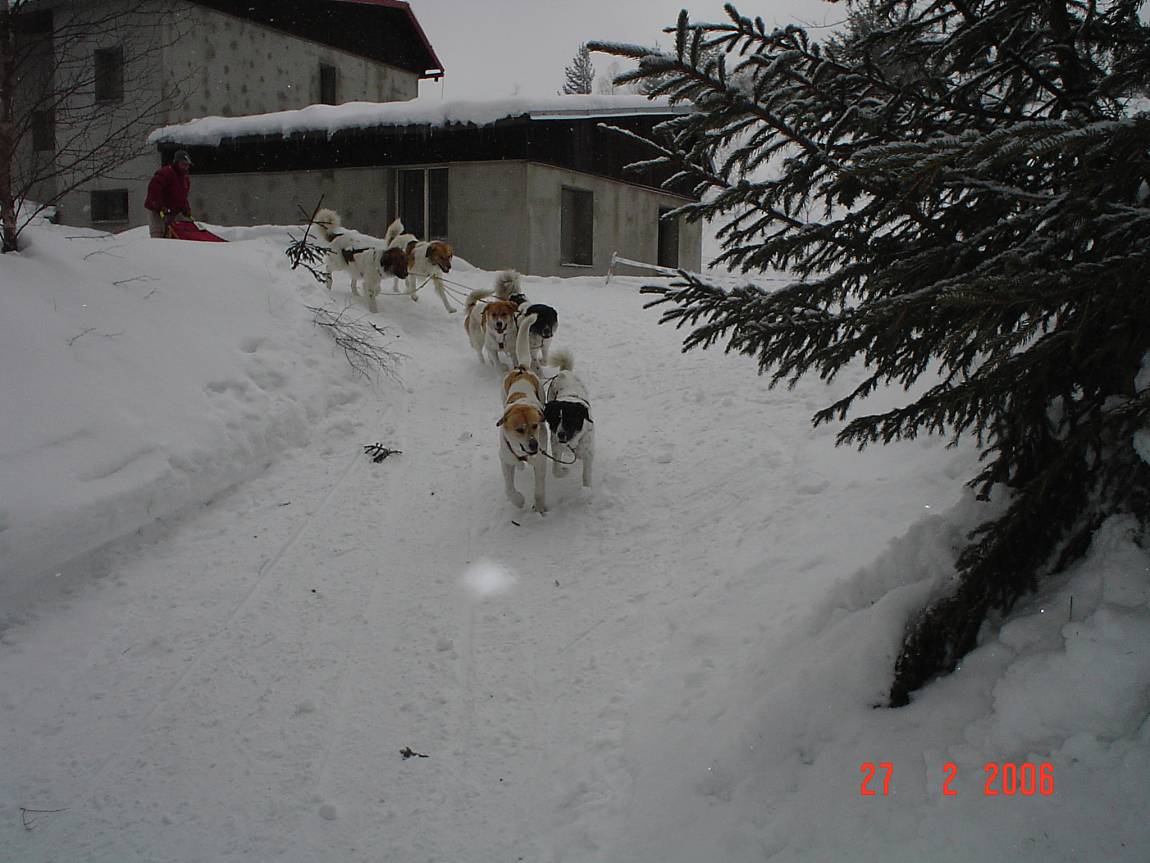 Výsledky - Šumava trail, 10 - 12.2.2023