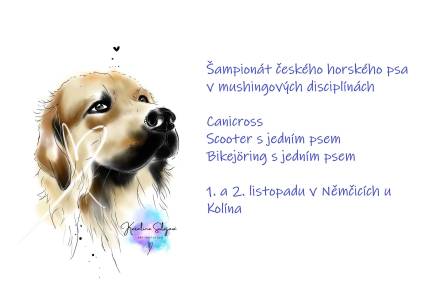 Šampionát plemen 2025 - canicross