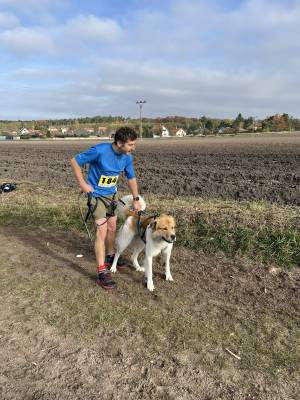 Šampionát plemen 2025 - canicross