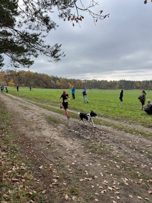 Šampionát plemen 2025 - canicross