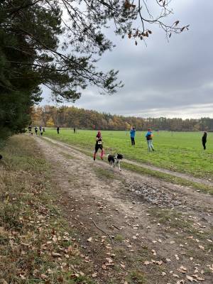 Šampionát plemen 2025 - canicross