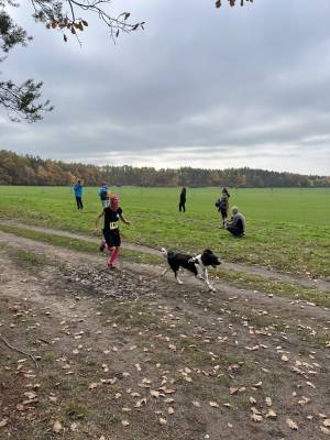 Šampionát plemen 2025 - canicross