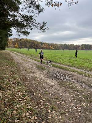 Šampionát plemen 2025 - canicross