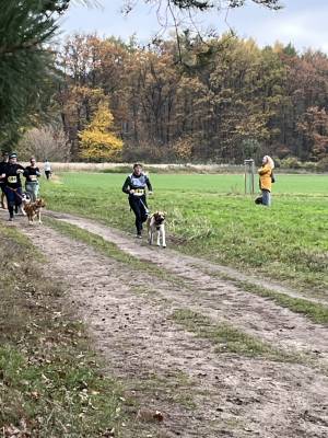 Šampionát plemen 2025 - canicross