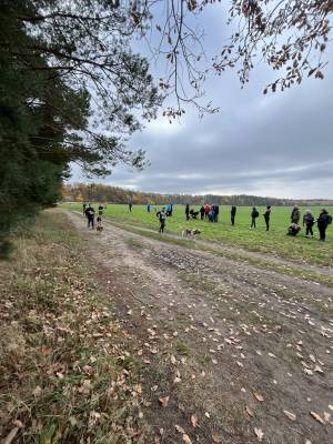 Šampionát plemen 2025 - canicross