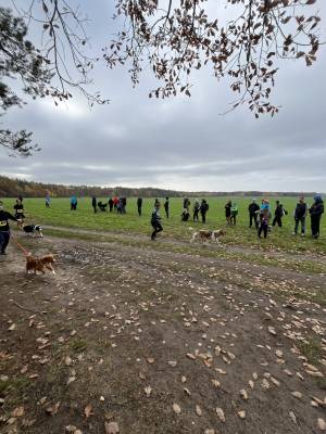 Šampionát plemen 2025 - canicross