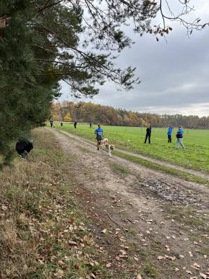 Šampionát plemen 2025 - canicross