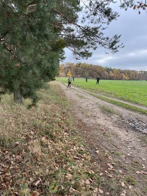 Šampionát plemen 2025 - canicross