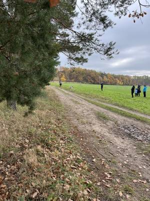 Šampionát plemen 2025 - canicross