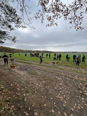 Šampionát plemen 2025 - canicross