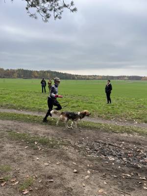 Šampionát plemen 2025 - canicross