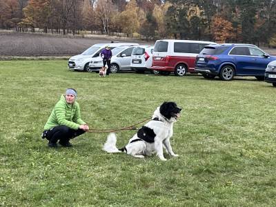 Šampionát plemen 2025 - canicross