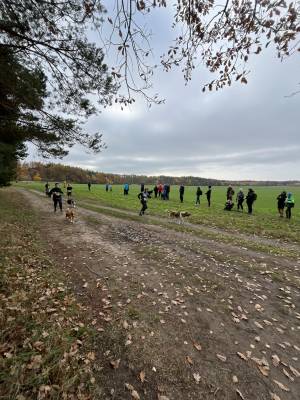 Šampionát plemen 2025 - canicross