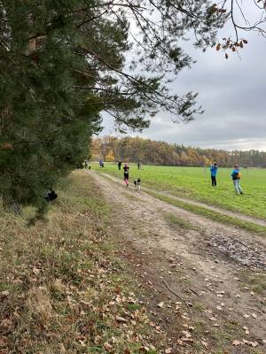 Šampionát plemen 2025 - canicross