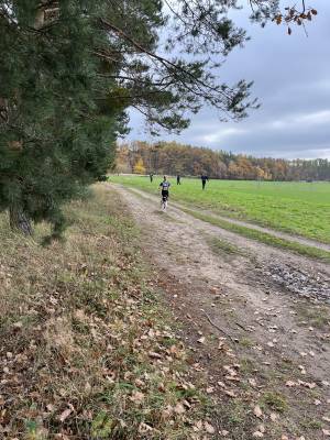 Šampionát plemen 2025 - canicross