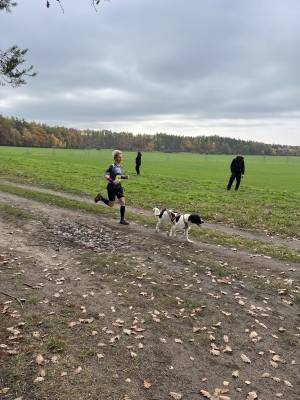 Šampionát plemen 2025 - canicross