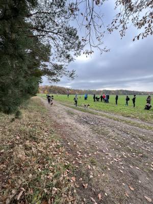 Šampionát plemen 2025 - canicross