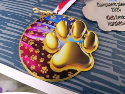 Šampionát plemen 2025 - canicross