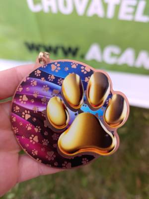 Šampionát plemen 2025 - canicross