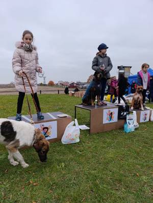 Šampionát plemen 2025 - canicross