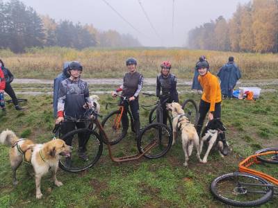 Šampionát plemen 2025 - canicross