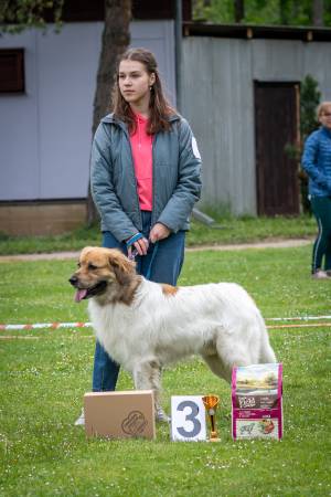 Speciální výstava ČHP - Lučina 13. 5. 2023