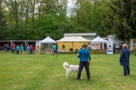 Speciální výstava ČHP - Lučina 13. 5. 2023