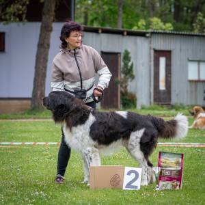 Speciální výstava ČHP - Lučina 13. 5. 2023