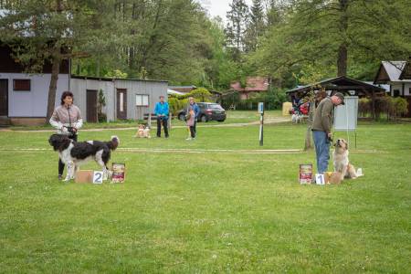 Speciální výstava ČHP - Lučina 13. 5. 2023