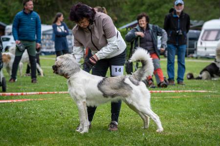 Speciální výstava ČHP - Lučina 13. 5. 2023