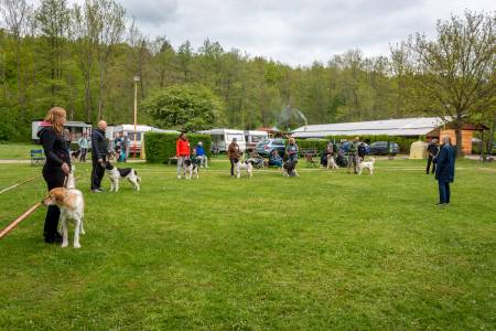 Speciální výstava ČHP - Lučina 13. 5. 2023