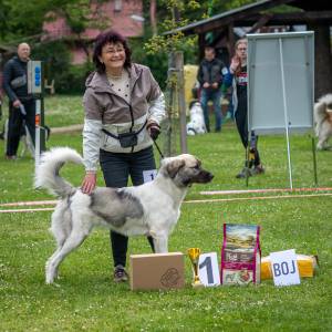 Speciální výstava ČHP - Lučina 13. 5. 2023