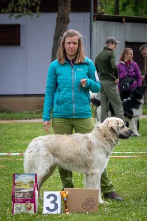 Speciální výstava ČHP - Lučina 13. 5. 2023