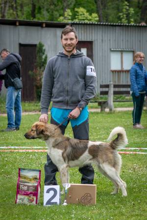 Speciální výstava ČHP - Lučina 13. 5. 2023