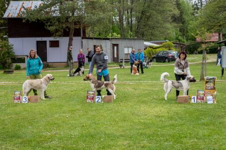 Speciální výstava ČHP - Lučina 13. 5. 2023