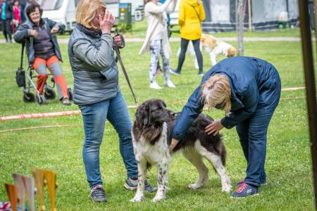 Speciální výstava ČHP - Lučina 13. 5. 2023