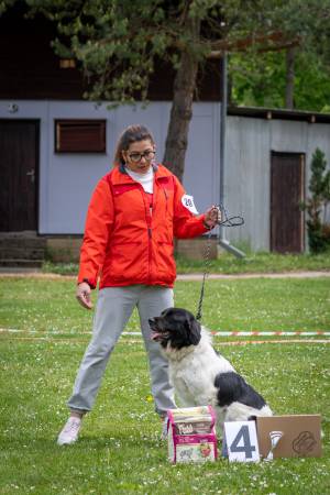 Speciální výstava ČHP - Lučina 13. 5. 2023