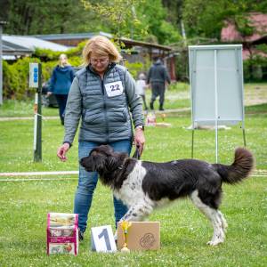 Speciální výstava ČHP - Lučina 13. 5. 2023