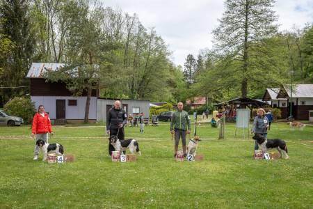 Speciální výstava ČHP - Lučina 13. 5. 2023