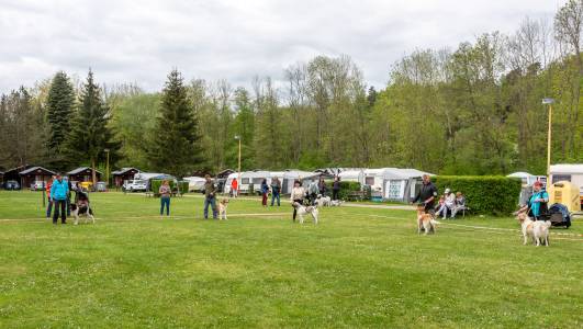 Speciální výstava ČHP - Lučina 13. 5. 2023