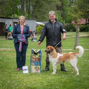 Speciální výstava ČHP - Lučina 13. 5. 2023