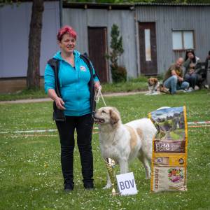 Speciální výstava ČHP - Lučina 13. 5. 2023