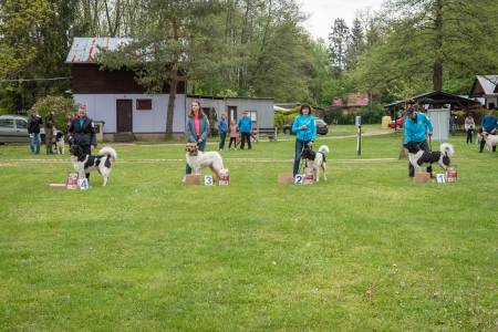 Speciální výstava ČHP - Lučina 13. 5. 2023