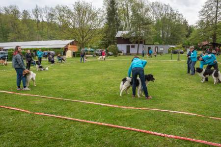 Speciální výstava ČHP - Lučina 13. 5. 2023