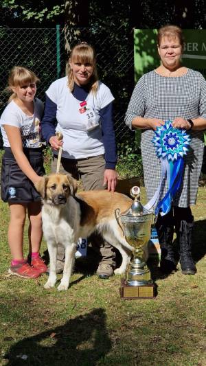 Klubový vítěz, BOB Bílý Potok 2024 - Arven Kutnohorský groš