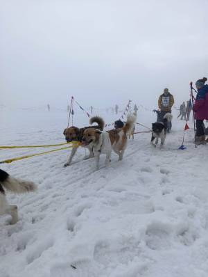 Zásadský sprint/mid 2026