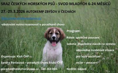 Svod mladých psů 2025