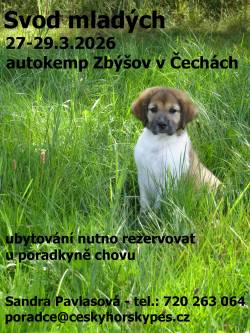 Svod mladých psů 2026