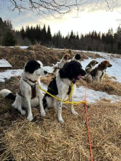 31. ročník Ledové jízdy odstartoval